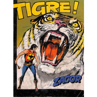 ZAGOR ZENITH GIGANTE 1976 n. 187
